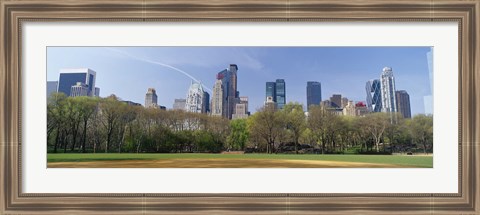 Framed Trees in a park, Central Park South, Central Park, Manhattan, New York City, New York State, USA Print