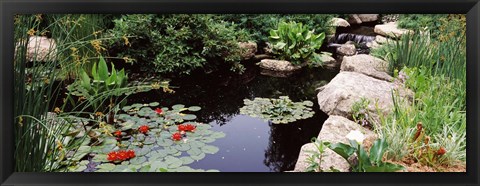 Framed Sunken Garden, Olbrich Botanical Gardens, Madison, Wisconsin Print