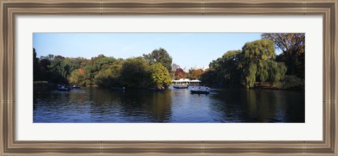 Framed Lake in a park, Central Park, Manhattan, New York City, New York State, USA Print