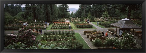 Framed Tourists in a rose garden, International Rose Test Garden, Washington Park, Portland, Multnomah County, Oregon, USA Print