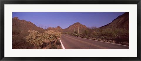 Framed Road Through Saguaro National Park, Arizona Print