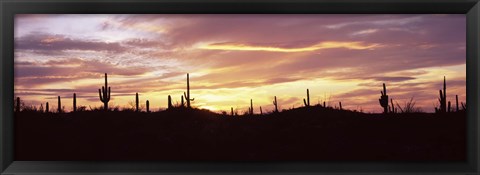 Framed Purple and Orange Sky Over Saguaro Nataional Park, Arizona Print