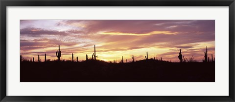 Framed Purple and Orange Sky Over Saguaro Nataional Park, Arizona Print