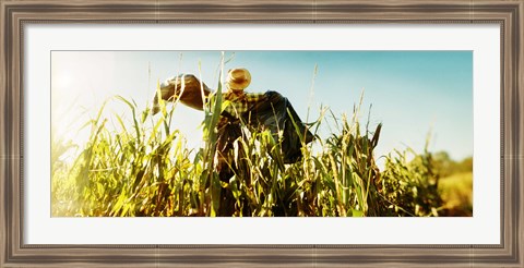 Framed Scarecrow in a corn field, Queens County Farm, Queens, New York City, New York State, USA Print