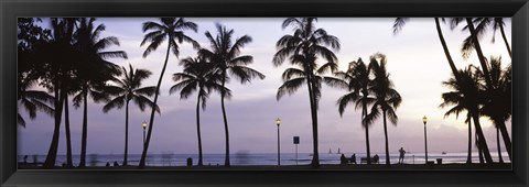 Framed Palm trees on the beach, Waikiki, Honolulu, Oahu, Hawaii (black and white) Print