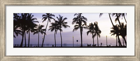 Framed Palm trees on the beach, Waikiki, Honolulu, Oahu, Hawaii (black and white) Print