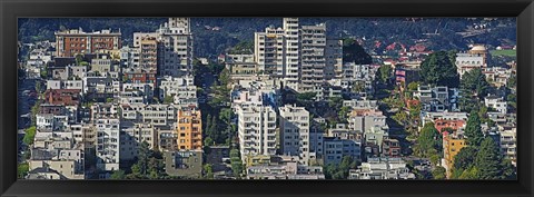 Framed Aerial view of buildings in a city, Russian Hill, Lombard Street and Crookedest Street, San Francisco, California, USA Print