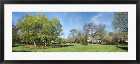 Framed Tulips with Trees at Sherwood Gardens, Baltimore, Maryland, USA Print