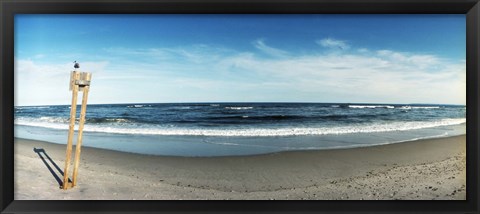 Framed Seagull standing on a wooden post at Fort Tilden Beach, Queens, New York City Print