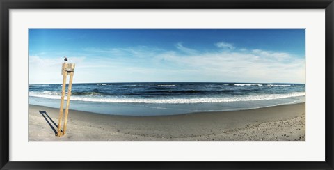 Framed Seagull standing on a wooden post at Fort Tilden Beach, Queens, New York City Print