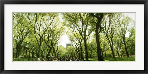 Framed Central Park in the spring time, New York City Print