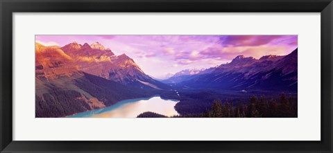 Framed Peyto Lake, Alberta, Canada Print