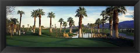 Framed Palm trees in a golf course, Desert Springs Golf Course, Palm Springs, Riverside County, California, USA Print