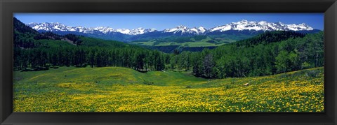 Framed San Miguel Mountains In Spring, Colorado, USA Print