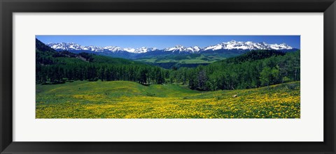 Framed San Miguel Mountains In Spring, Colorado, USA Print