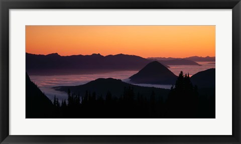 Framed Mount Rainier National Park, Washington Print