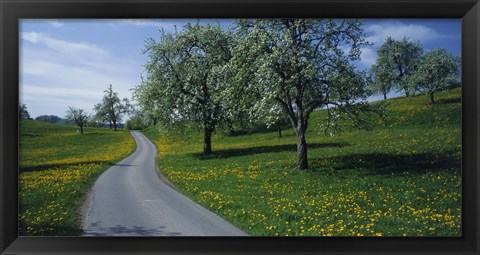 Framed Spring in Zug, Switzerland Print