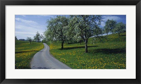 Framed Spring in Zug, Switzerland Print