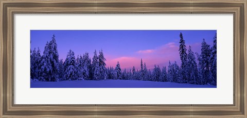 Framed Forest In Winter, Dalarna, Sweden Print