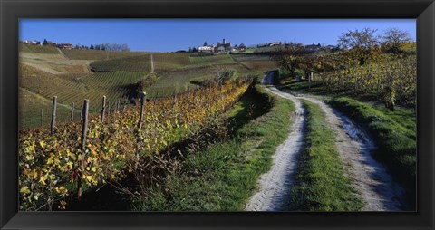 Framed Italy, Piemont, road Print