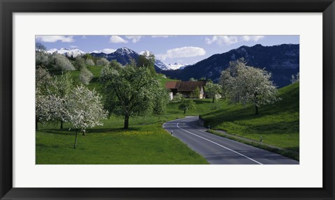 Framed Switzerland, Luzern, trees, road Print