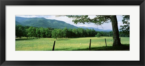 Framed Meadow Surrounded By Barbed Wire Fence, Cades Cove, Great Smoky Mountains National Park, Tennessee, USA Print