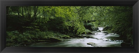 Framed River flowing in the forest, Aberfeldy, Perthshire, Scotland Print