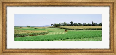 Framed Harvesting, Farm, Frederick County, Maryland, USA Print