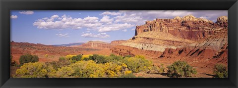 Framed Orchards in front of sandstone cliffs, Capitol Reef National Park, Utah, USA Print