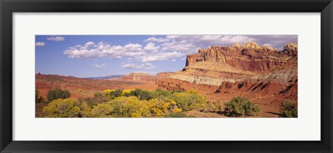 Framed Orchards in front of sandstone cliffs, Capitol Reef National Park, Utah, USA Print