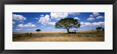 Framed Elephants, Kenya, Africa Print