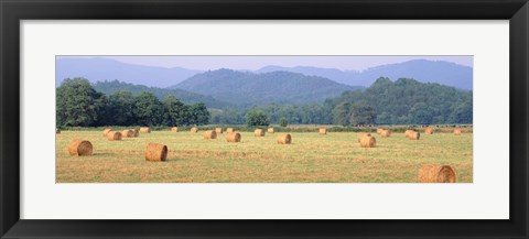 Framed Hay bales in a field, Murphy, North Carolina, USA Print