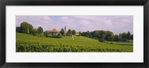 Framed WIne country with buildings in the background, Village near Geneva, Switzerland Print