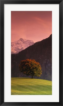 Framed Switzerland, Alps Print