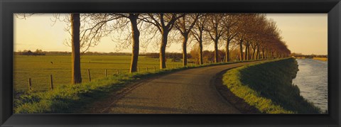 Framed Winding Road, Trees, Oudendijk, Netherlands Print