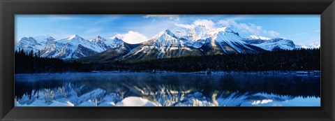 Framed Herbert Lake, Banff National Park, Alberta, Canada Print