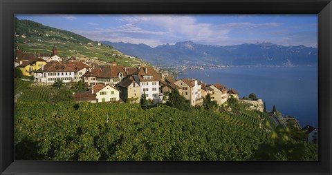 Framed Village Rivaz between Vineyards &amp; Mts. Lake Geneva Switzerland Print