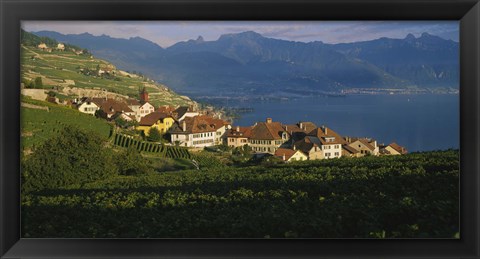 Framed Village on a hillside, Rivaz, Lavaux, Switzerland Print