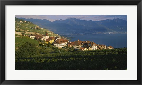 Framed Village on a hillside, Rivaz, Lavaux, Switzerland Print