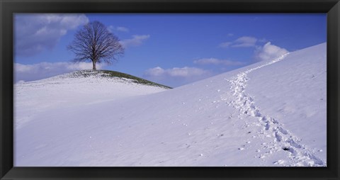 Framed Switzerland, View of a lone Linden tree on a hill Print