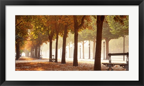 Framed France, Paris, Champs Elysees Print