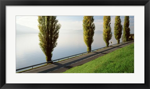 Framed Trees along a lake, Lake Zug, Switzerland Print