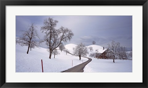 Framed Switzerland, Canton of Zug, Linden trees on a snow covered landscape Print