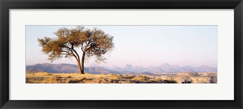 Framed Tree in a field with a mountain range in the background, Debre Damo, Tigray, Ethiopia Print