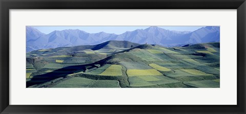 Framed Fields, Farm, Qinghai Province, China Print