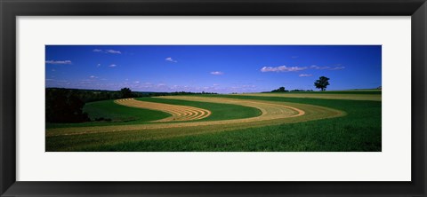 Framed Farmland IL USA Print