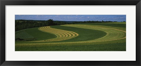 Framed Curving crops in a field, Illinois, USA Print