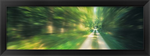 Framed Road, Greenery, Trees, Germany Print