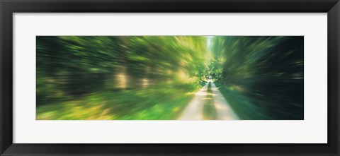 Framed Road, Greenery, Trees, Germany Print