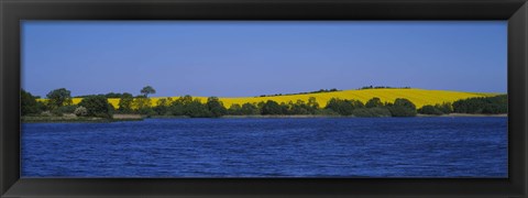 Framed Lake in front of a rape field, Holstein, Schleswig-Holstein, Germany Print